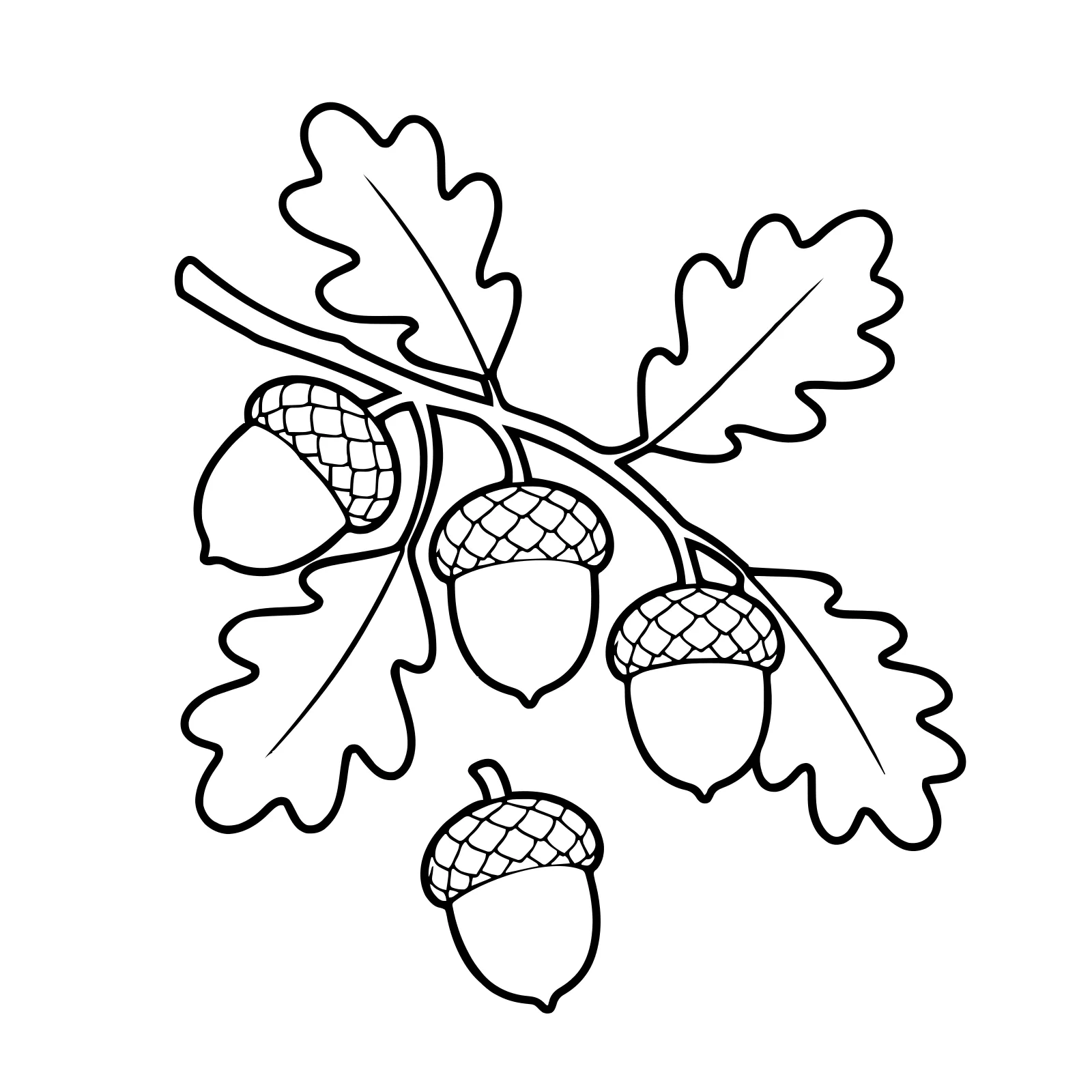 Coloring page: an oak twig with acorns and large oak leaves
